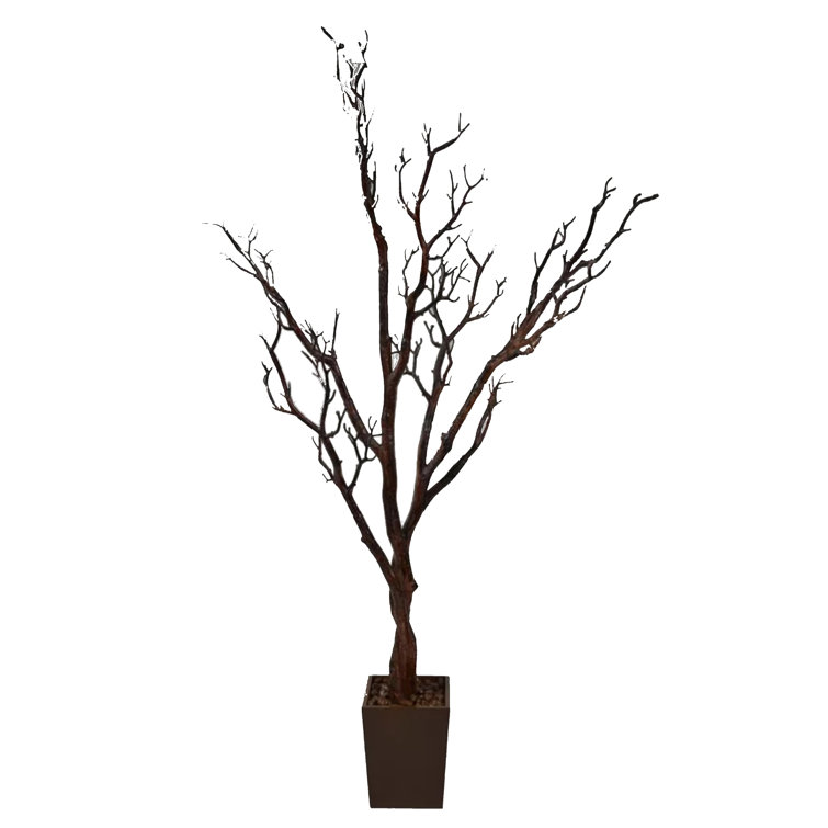 Ebern Designs Manzanita Tree in Planter & Reviews Wayfair